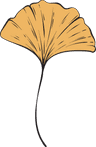 Feuille de Gingko
